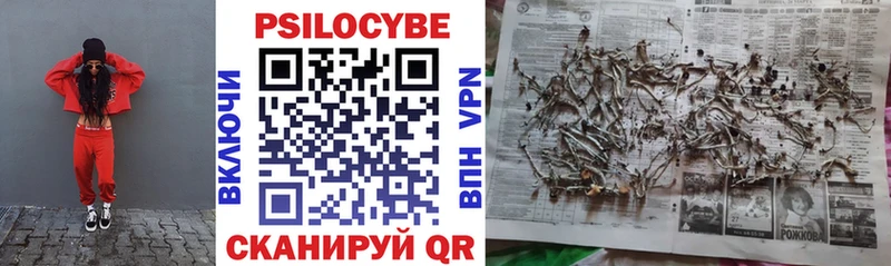 Псилоцибиновые грибы Cubensis  Купить где  Володарск 